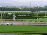 �ڶ��Ͼ�۲��餱�����ۤʰ���