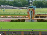 【競馬場】東京競馬場の馬場状態