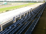 【競馬場】スタンドはガラガラ