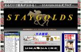 見れば当たる競馬予想☆