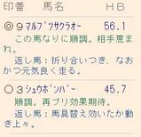 ��ľ����������ˡ����12��