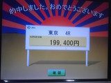 M..O.not.Winner����ʣ���