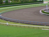 【競馬場】京都・ダート