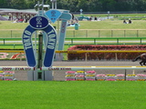 【競馬場】東京・芝