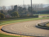 【競馬場】京都ダート