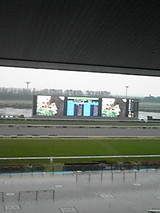 ae1361e3.JPG
