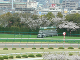 �ڶ��Ͼ�ۺ��ϲ�ʬ�餭��