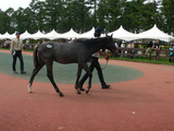 �ޥ������ƥ�������2007