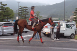 ミッキーペトラ後