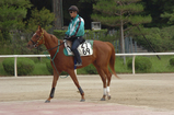 �쥤�������