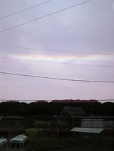 35537e62.jpg