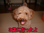 runko
