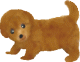 ran