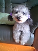 myuko