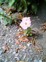 abd60f0e.jpg