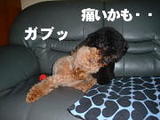 gabu
