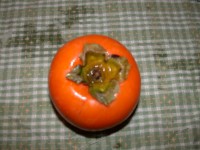 006.JPG 006.JPG