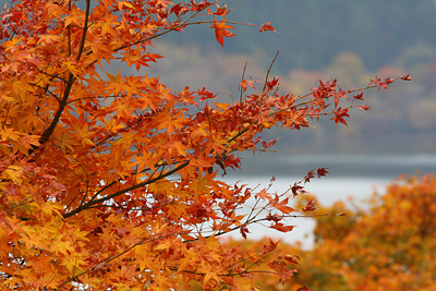 hakone2