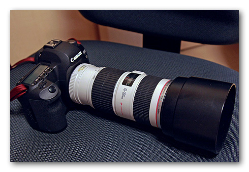 ef24-105mm20090404