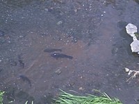 0923462f.jpg