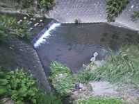 889fc523.jpg