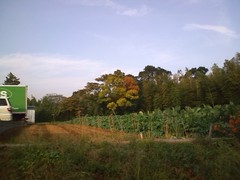 9e883f33.jpg
