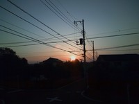 c5bc96d0.jpg