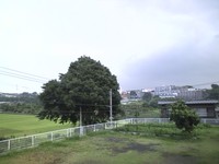c7a01813.jpg