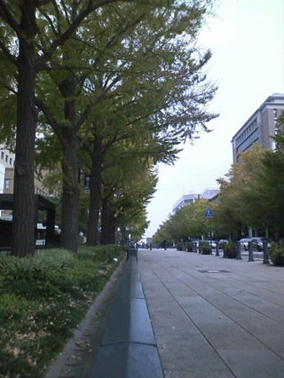 ffe85538.jpg