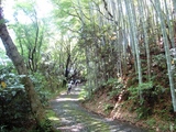 20090607chizanso5