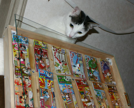 BOX1