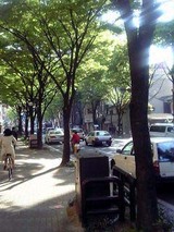 2863f0c4.JPG