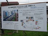�����饤�ɻ�������β���