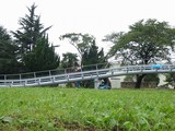 �����饤�ɤε�ƻ�ʷ�����ʬ��