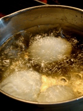 egg20090603-002.JPG