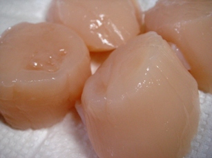 kunsei20061111-002.JPG