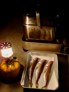 hatahata20090608-003.JPG