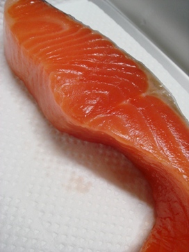 shuko20080604-001.JPG