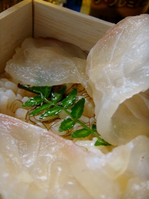 wakuden20080714-004.JPG
