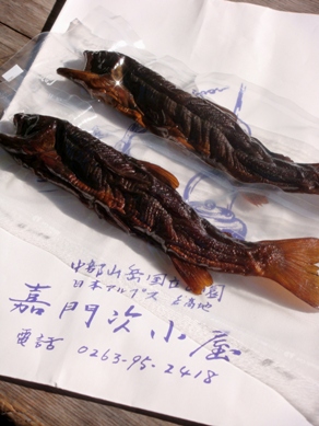 iwana20081105-005.JPG