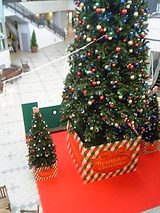 クリスマスツリー