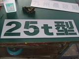 型抜き