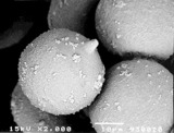 72b10044.jpg