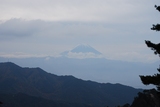jpg-1