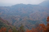 jpg-1