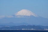 jpg-1