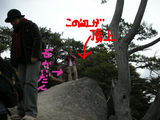 BlogPaint