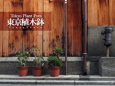 Tokyo Plant Pots 東京植木鉢 TsuyaTsuya on Flickr