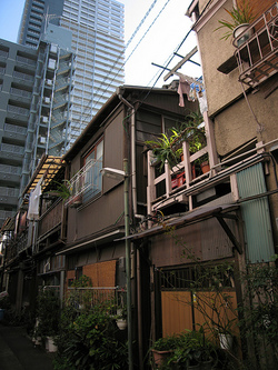 Tokyo Plant Pots (Tsukishima010)東京植木鉢