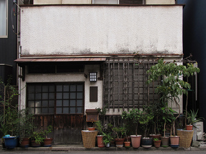 Tokyo Plant Pots (YaNeSen001) 東京植木鉢